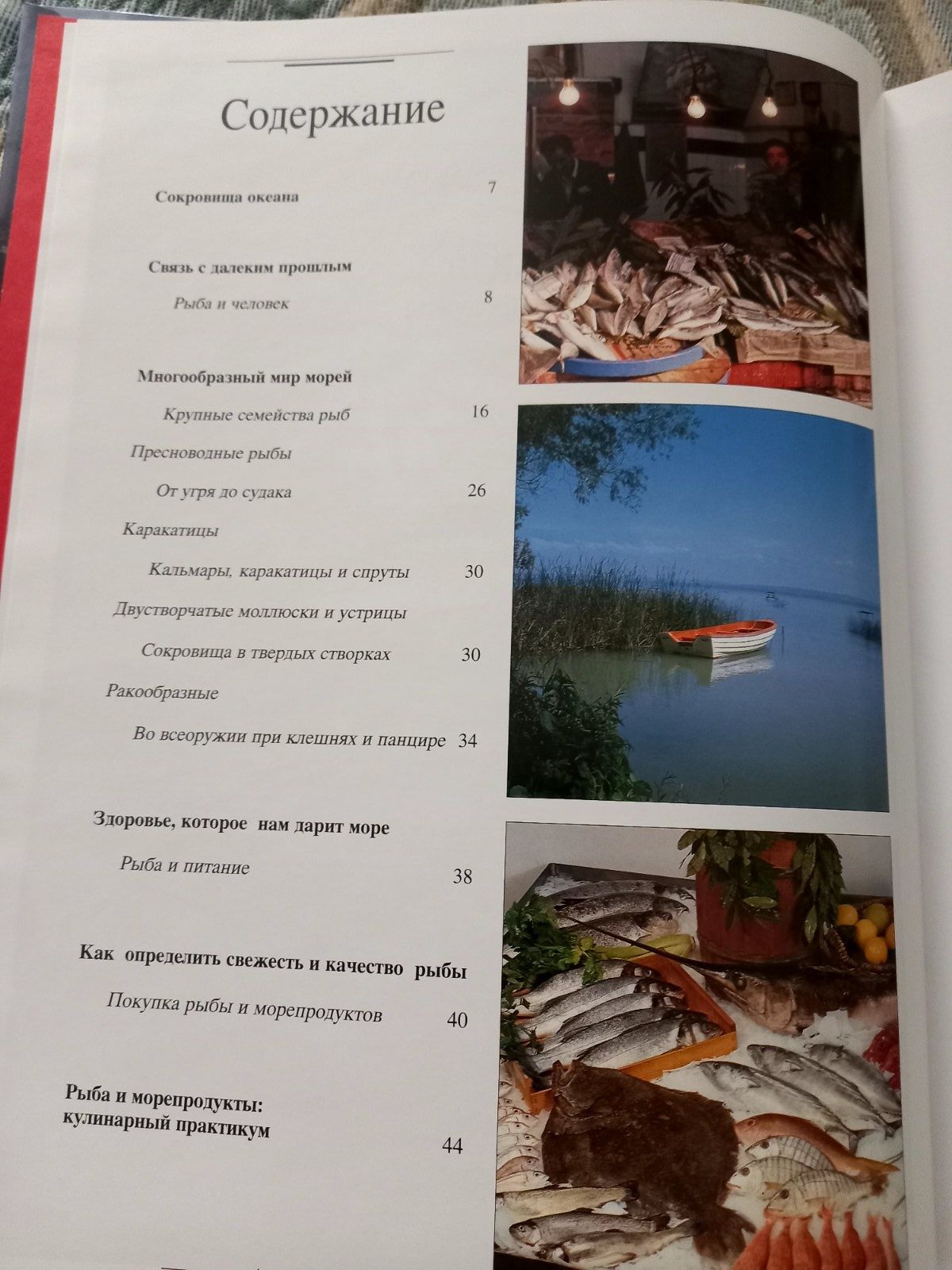 Книга Рыба и морепродукты. Чай.