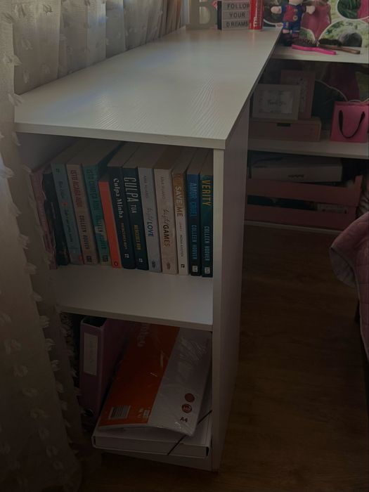 secretaria como nova