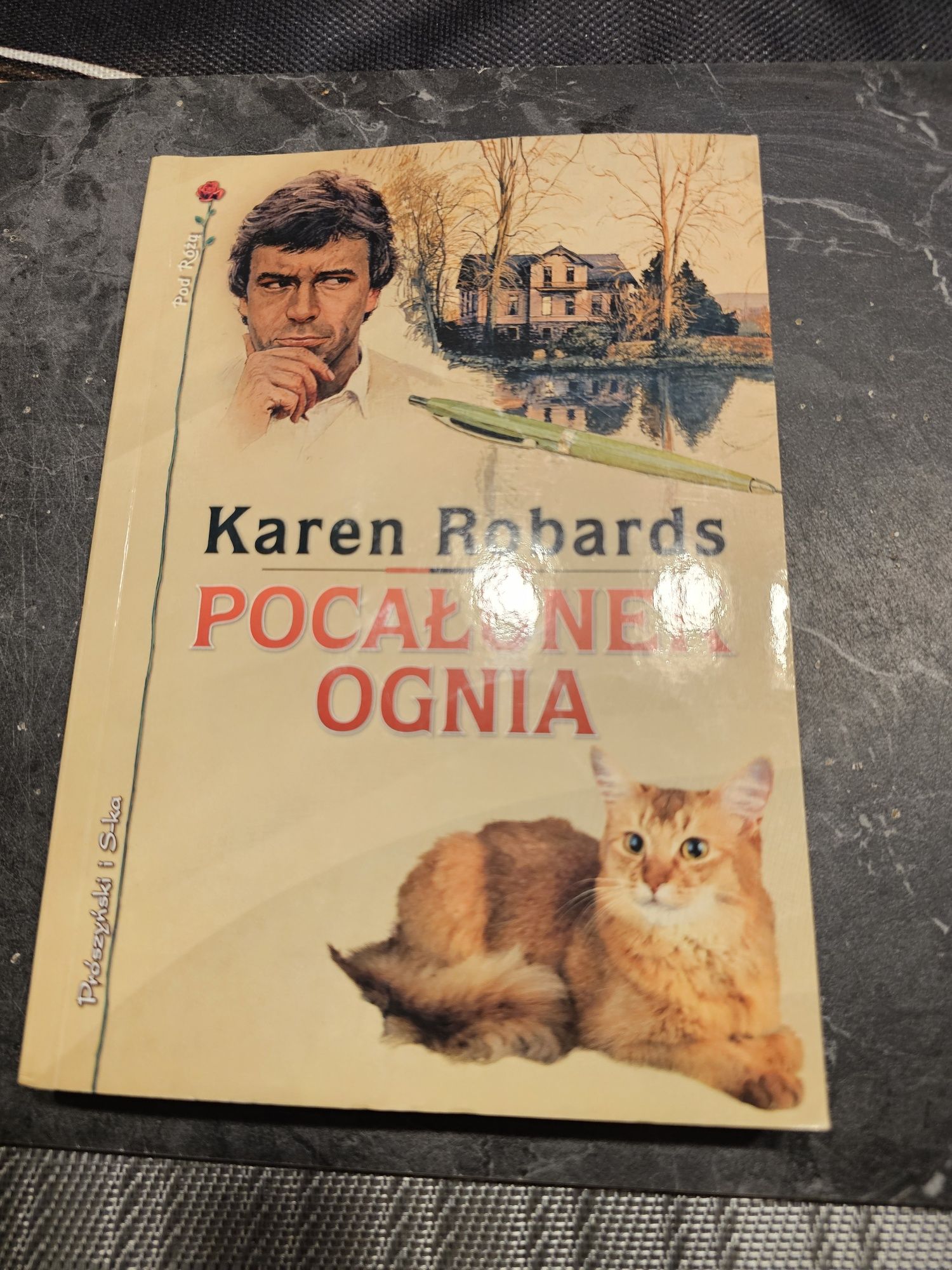 Książka pocałunek ognia karen robards