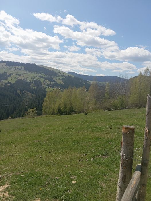 Продається земельна ділянка 94 сотики в Верховині присілок Пушкарі.