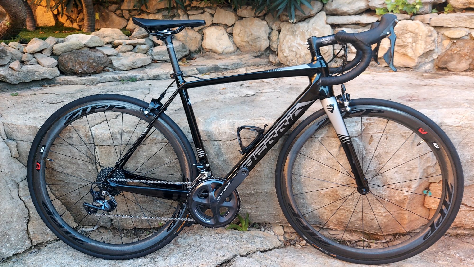 Rodas Zipp303 carbono