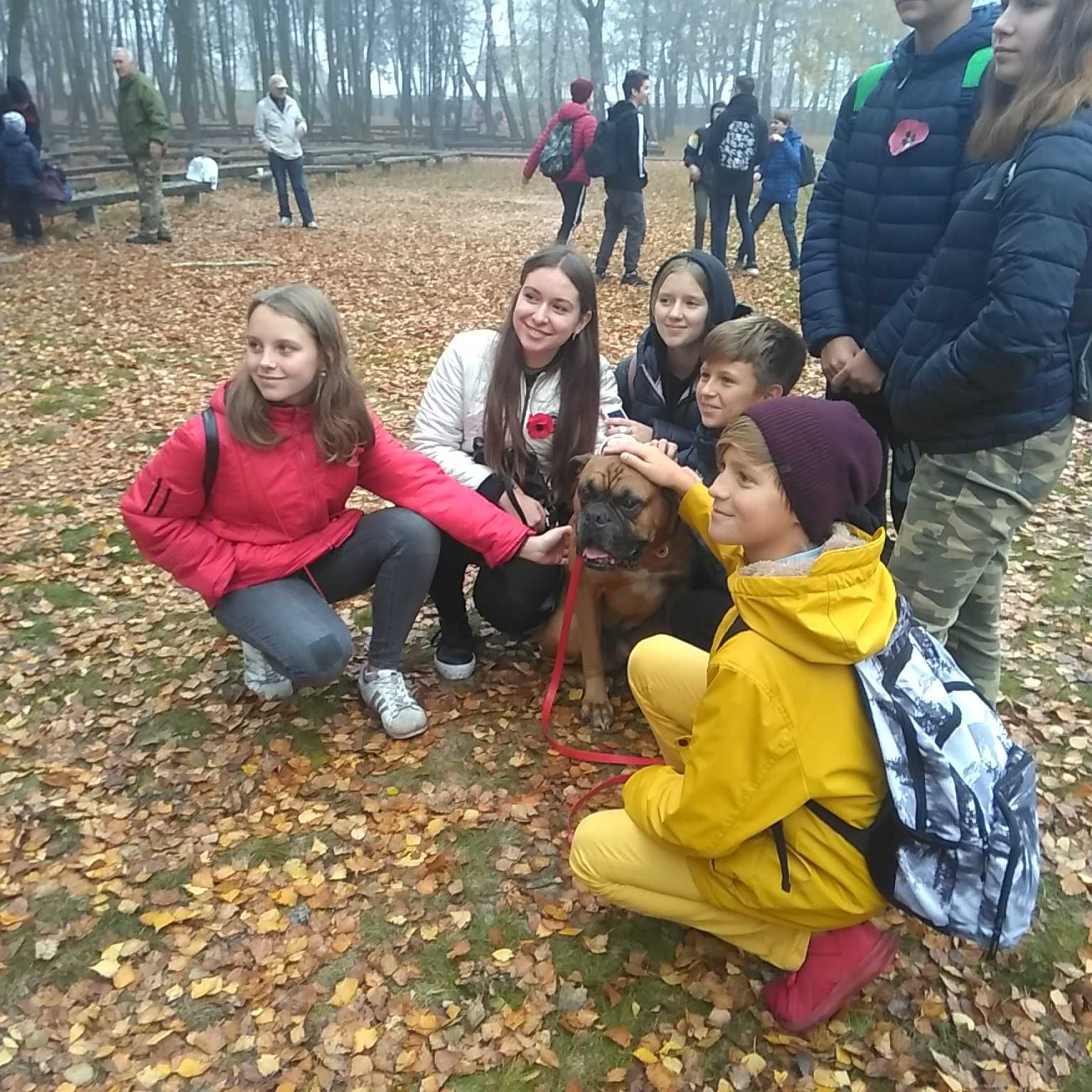 Дрессирування собак   Кінолог Навчання собак