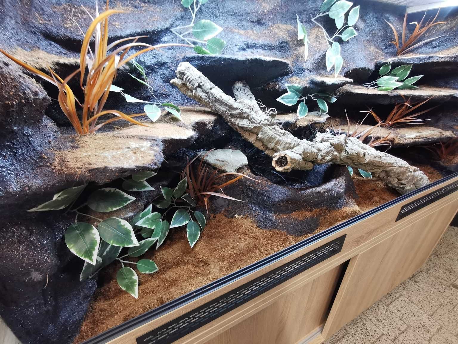 Terrarium dla węża 150/70/70 + szafka na zamówienie