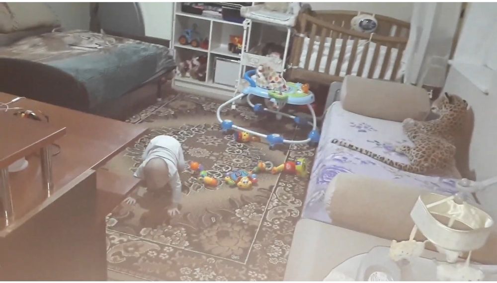 БЕСПЛАТНО! Дом с участком в долгосрочную безоплатную аренду .