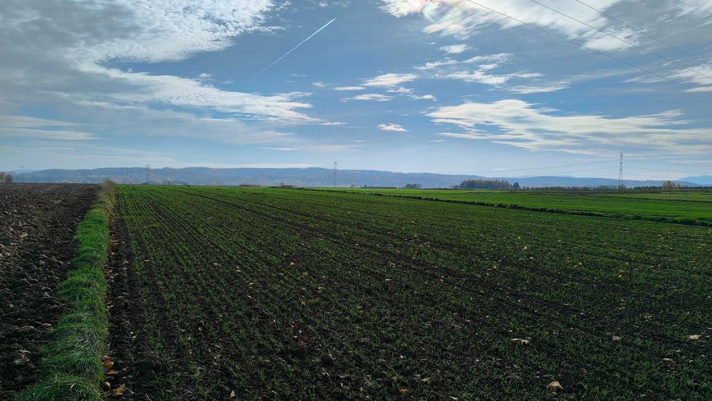 Piękna działka rolna 88 ar – Niewiarów, Gmina Gdów