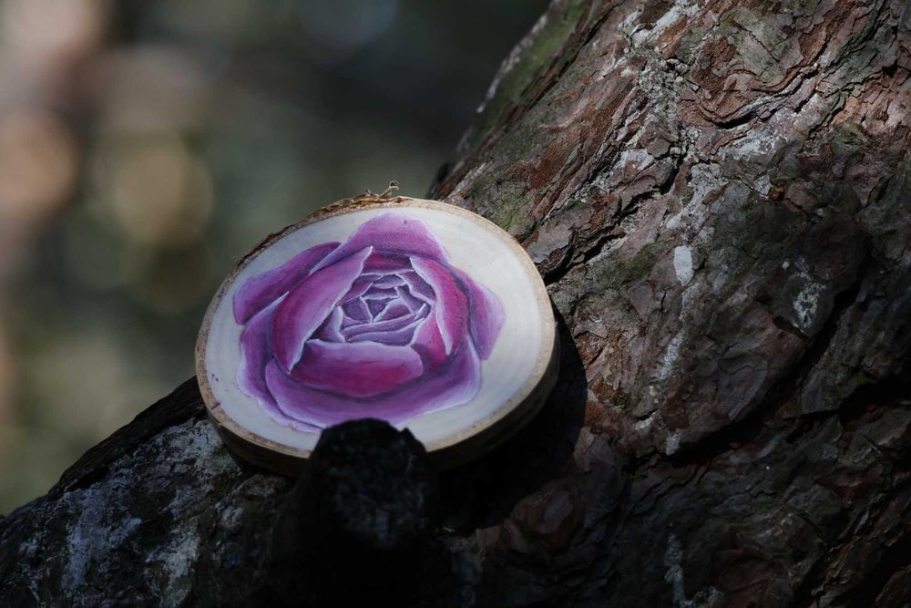 Magnes na lodówkę róża angielska