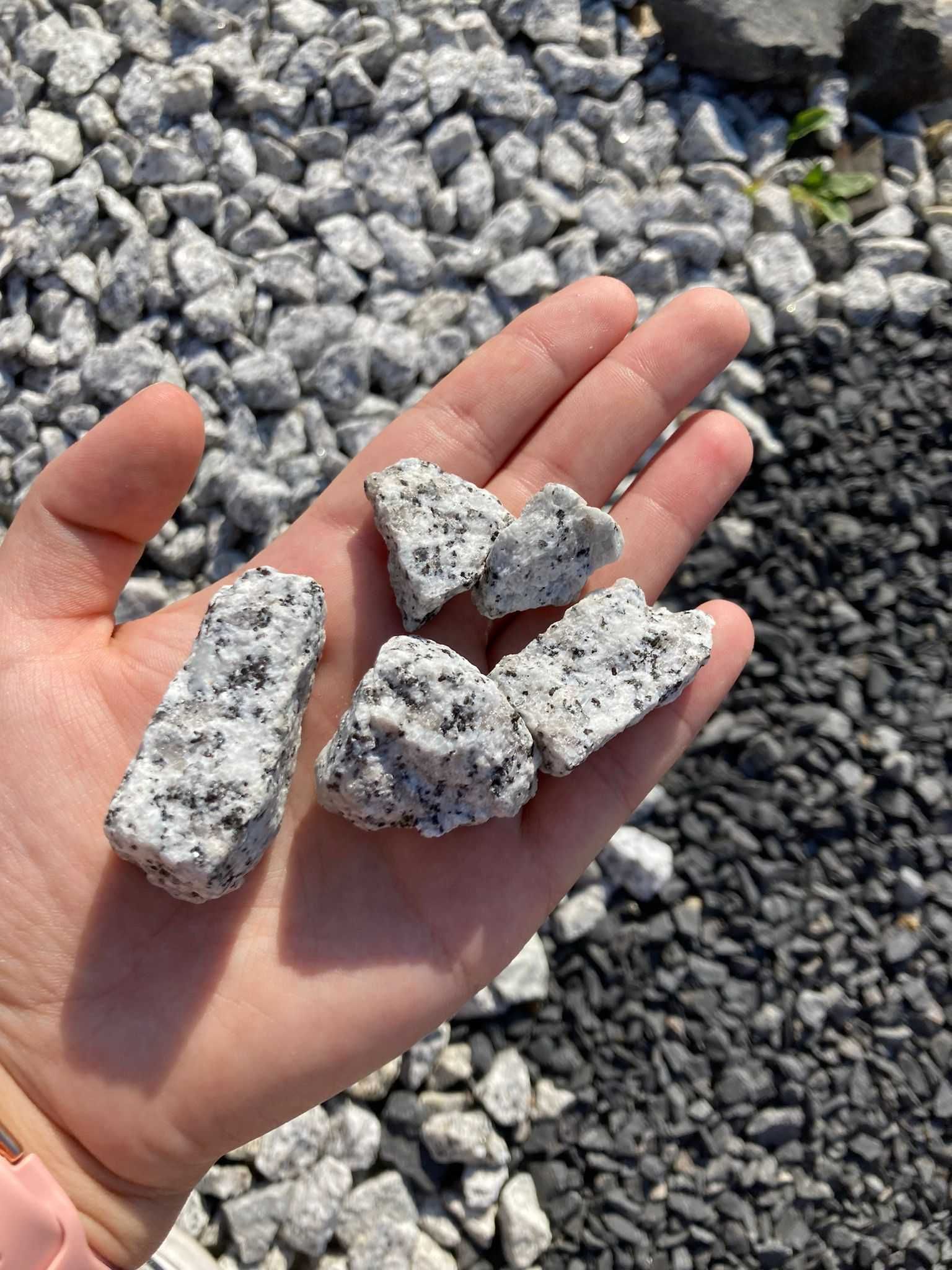 Grys granitowy dalmatyńczyk 16-22 mm granit worek 25 kg