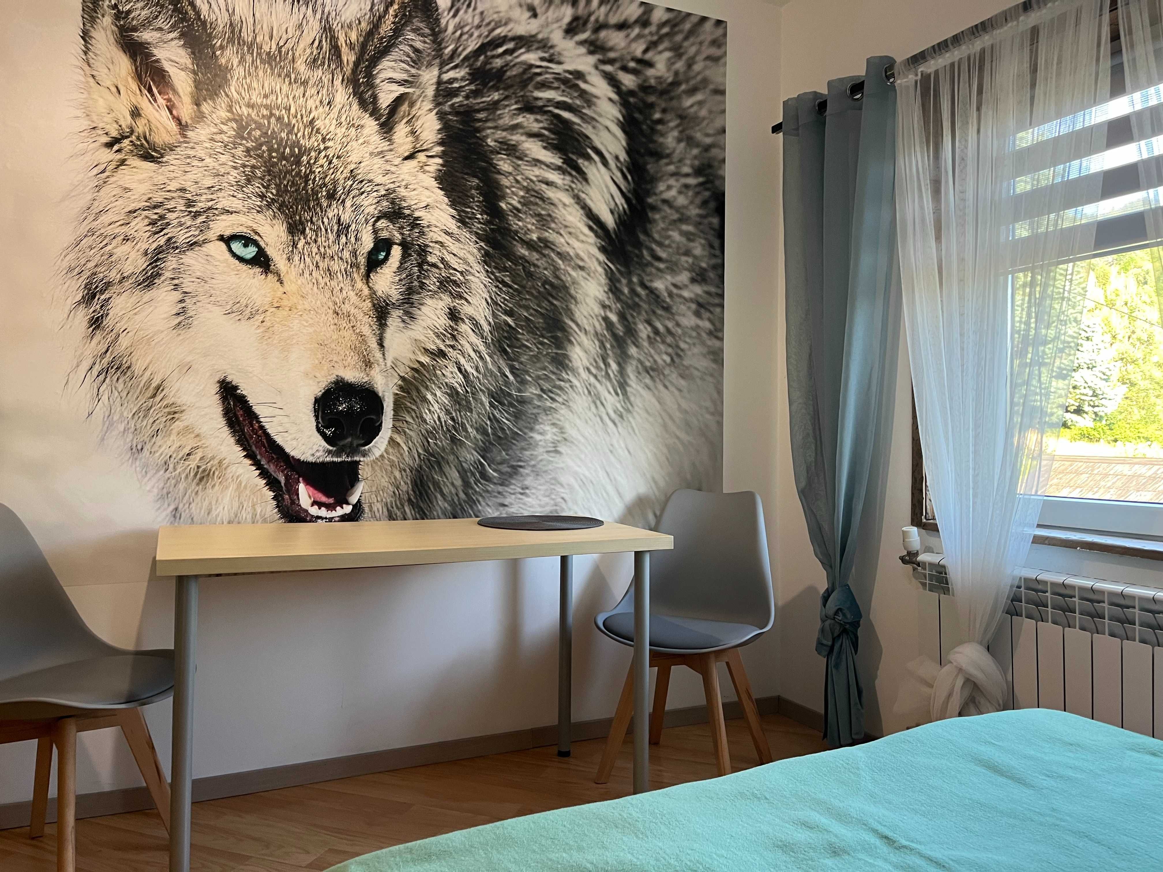 Domek Kozia Grapka 12- 18 os 9 sypialni 4 łazienki Rajcza BASEN