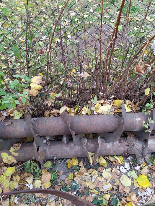 Бітера гнойорозкидача