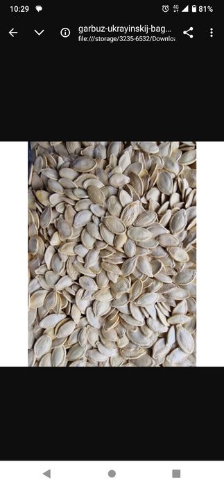 Гарбузові зернята