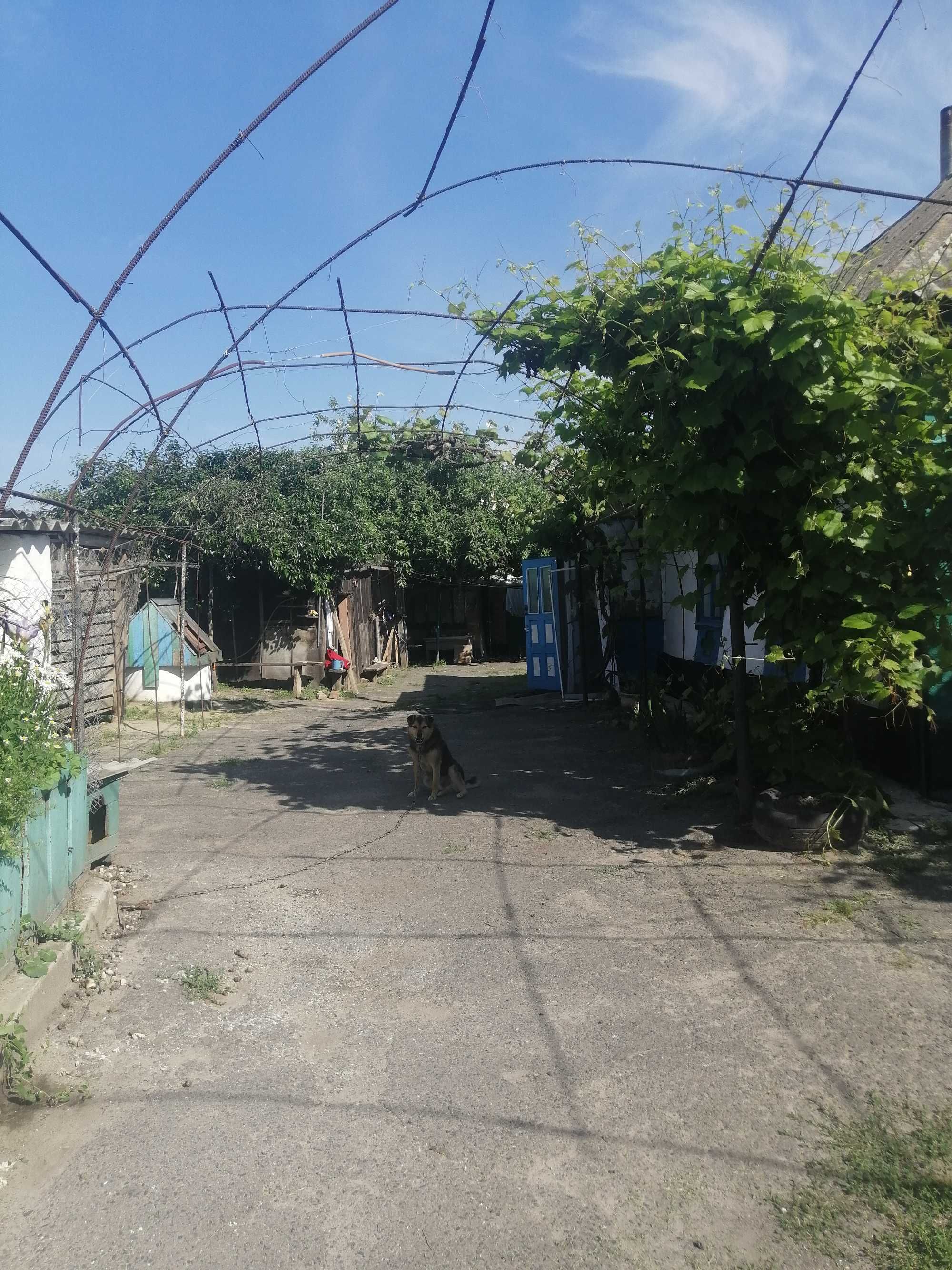 продается не дорого дом в селе