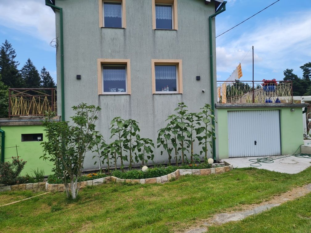 Apartament pod grzybkami skalnymi