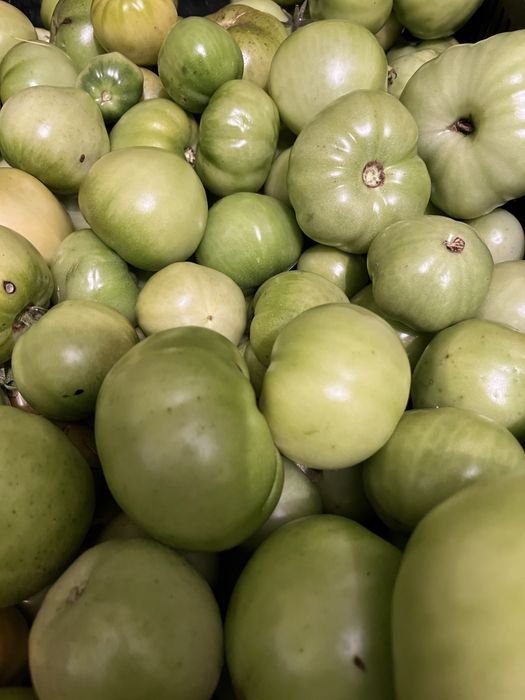 Pomidory zielone na przetwory