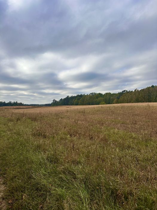 Działka rekreacyjna jezioro Sarnowskie las