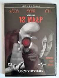 Film 12 MAŁP płyta DVD