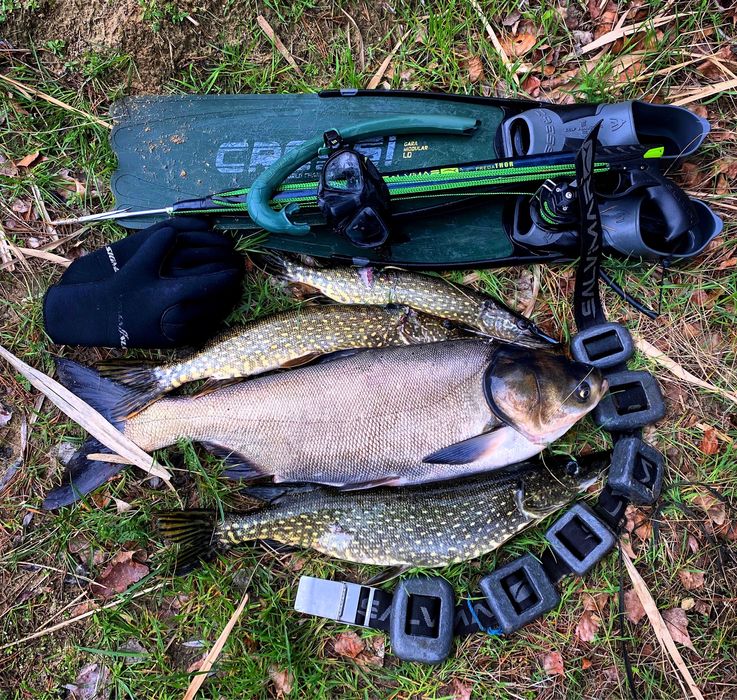 Подводное ружьё Salvimar Predator 65