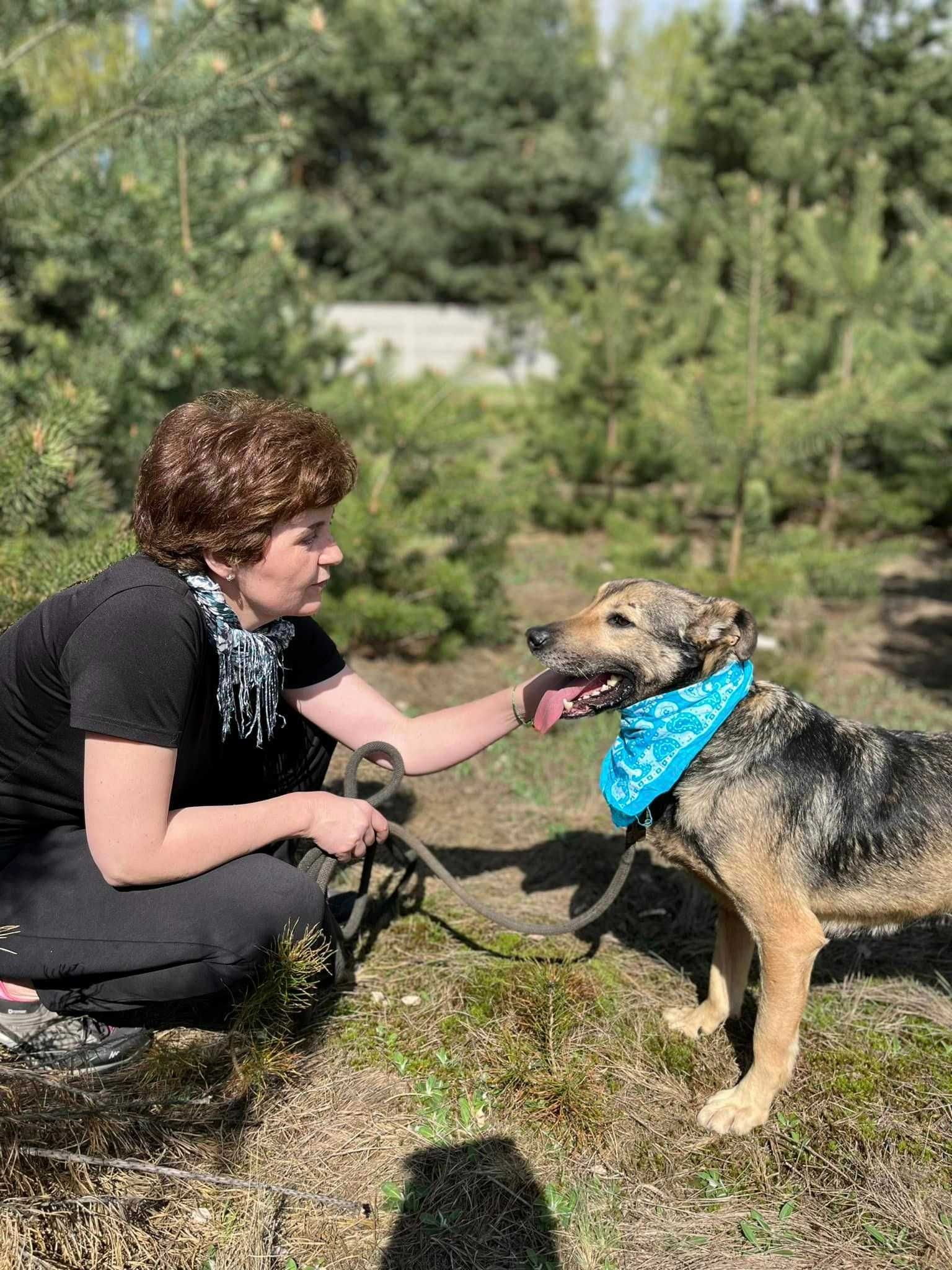 Zapomniany Lesio od roku czeka na odmianę losu w schronisku.