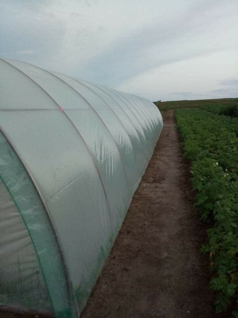 Sprzedam tunel foliowy