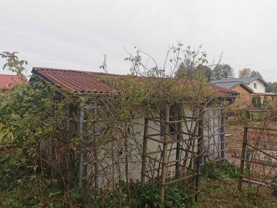 Działka ROD Solec Kujawski 530m z Domkiem