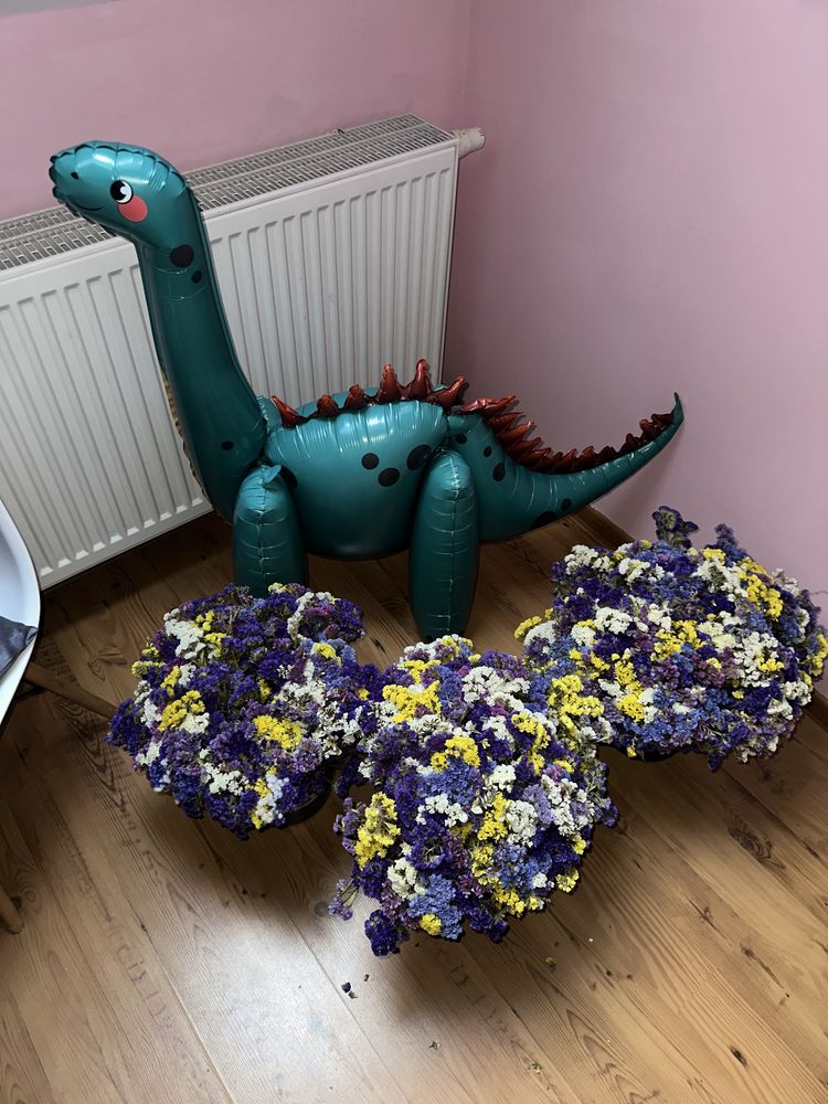 Oddam za darmo – suszone kwiaty i balon RAZERWACJA