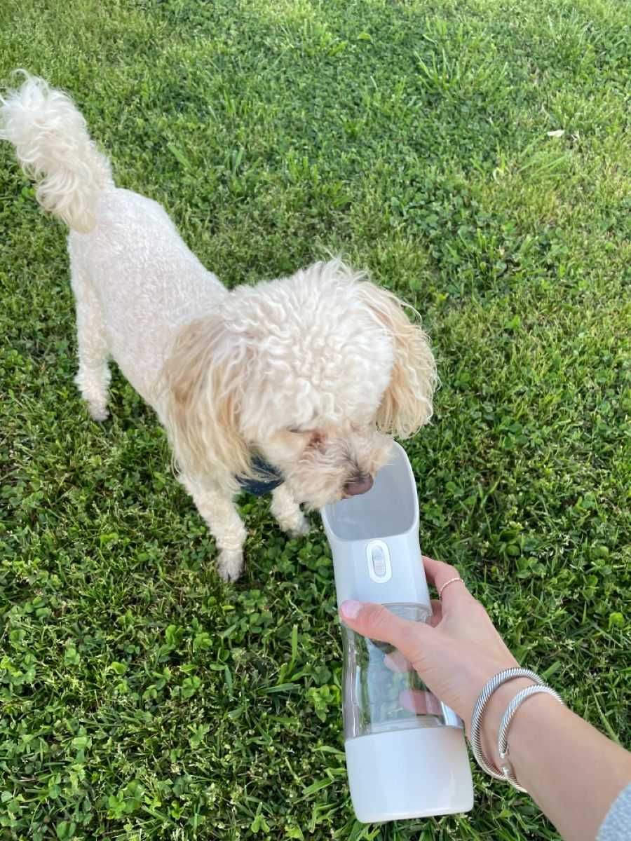 HIT Nowa butelka na wodę i karmę dla psa i kota przenośna podróżna 2w1