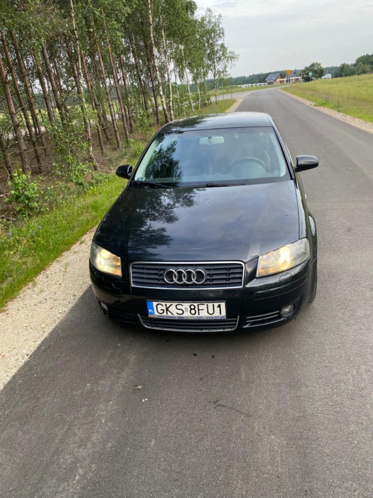 Audi a3 8P 1.9 Tdi