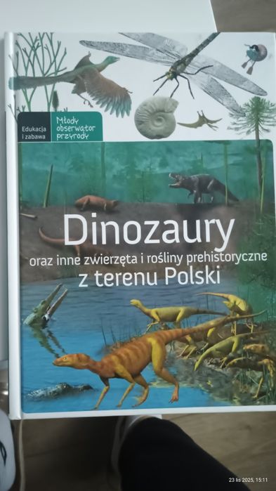Książka Dinozaury i inne z terenu Polski