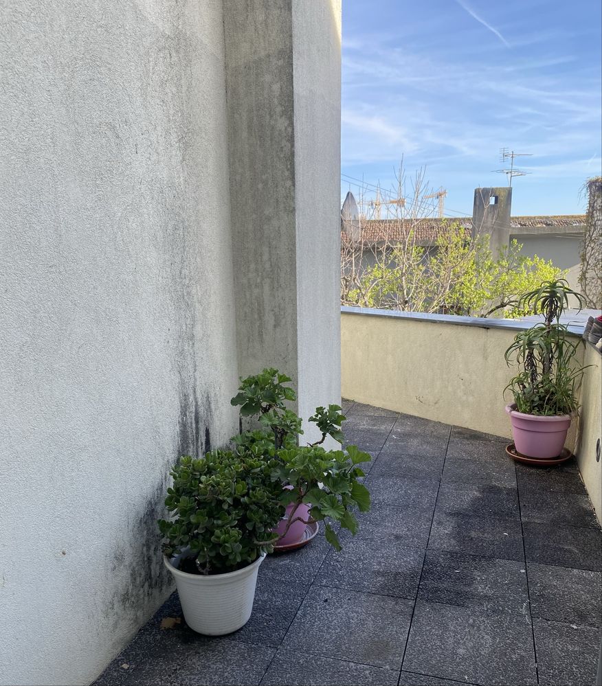 alugo quarto partilhado no porto