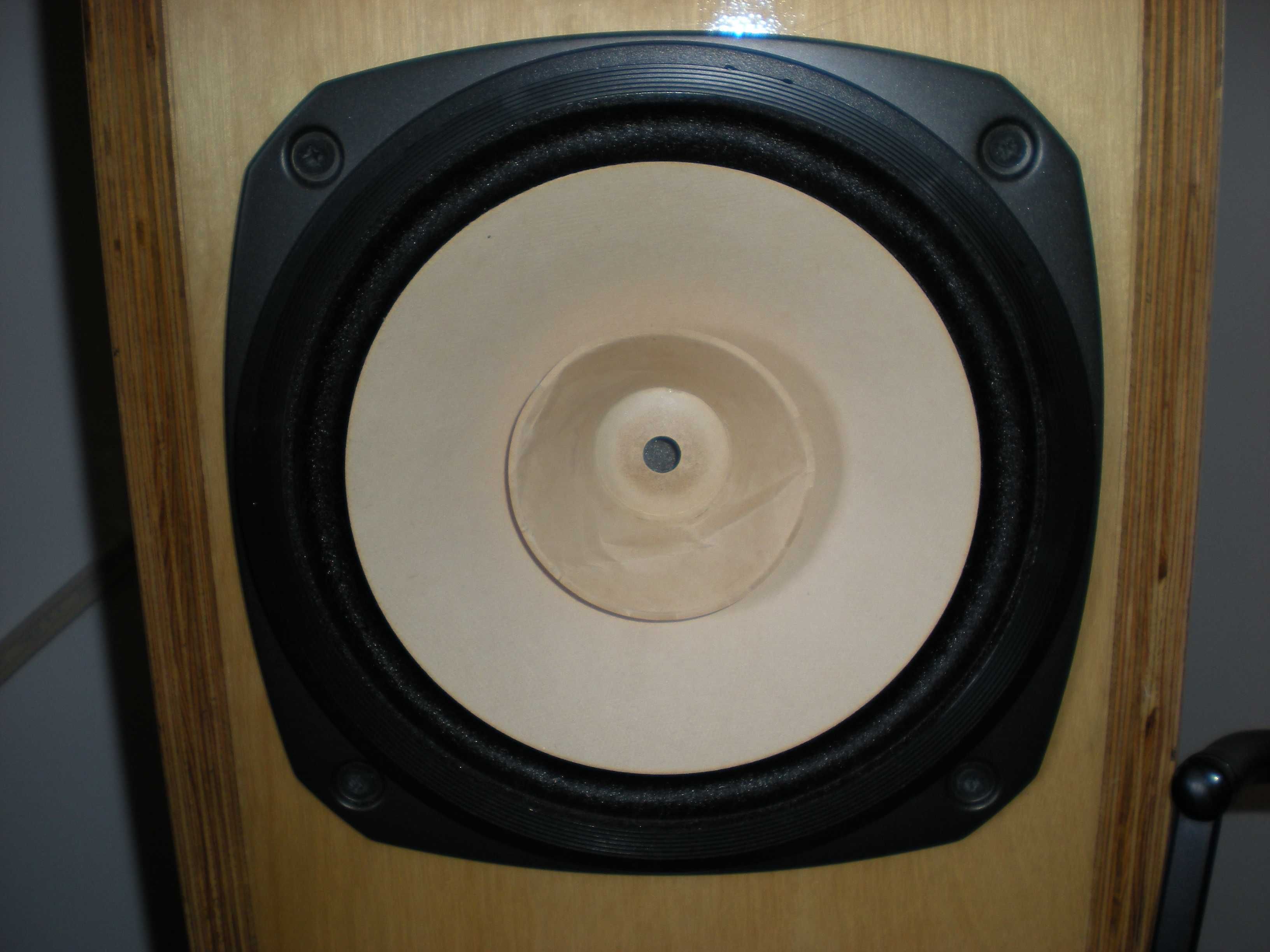 Fostex FE 206 EN 2 Głośniki szerokopasmowe. Średnica 20 cm 8 Ohm 96 dB