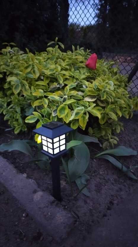 6x Lampa solarna LED ogrodowa z czujnikiem wbijana ozdobna Lampki