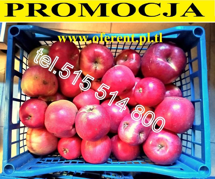 Jabłka Ligol Gruszki Concordia Sprzedam