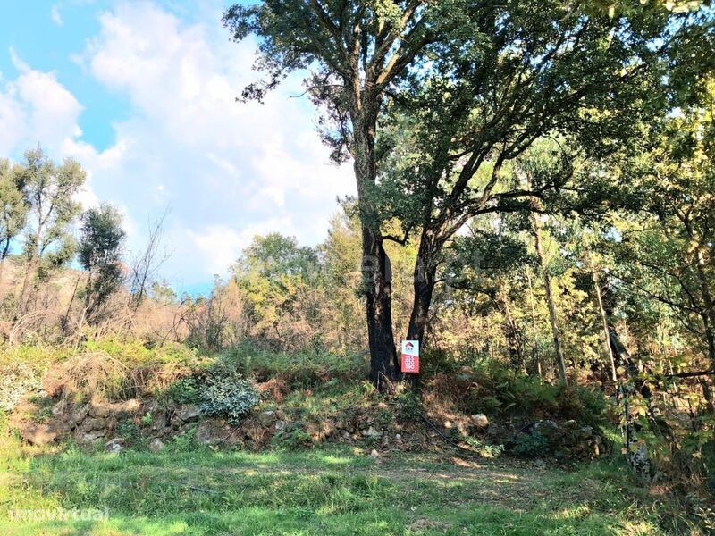 Terreno Rústico / Marco de Canaveses, Vila Boa do Bispo