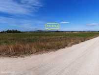 Oportunidade, Quinta 6 000 m2,  Palmela / Pinhal Novo