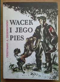 Wacek i jego pies - Ferdynand Antoni Ossendowski