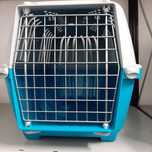 Caixa transportadora nova para gato ou cão