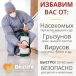 Винищуємо тарганів клопів бліх гризунів Якість Гарантія