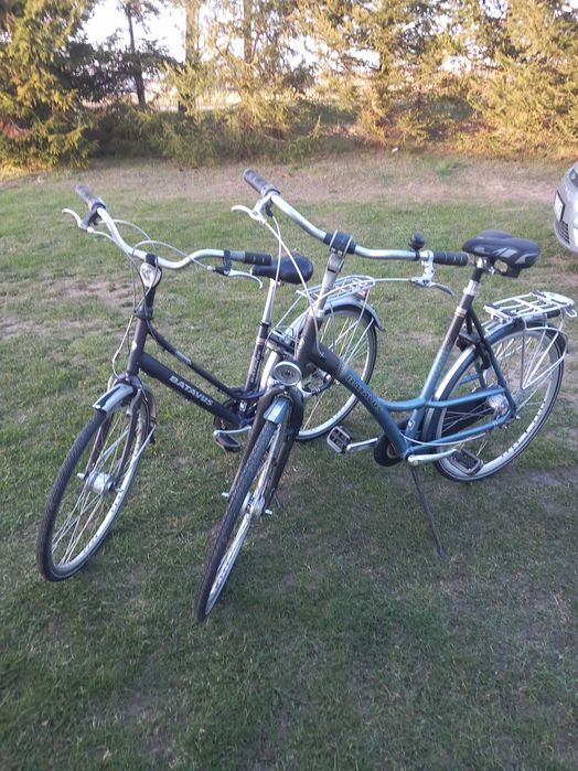 Rower damski Batavus