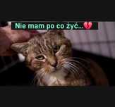 MARIANEK gaśnie w klatce!!!