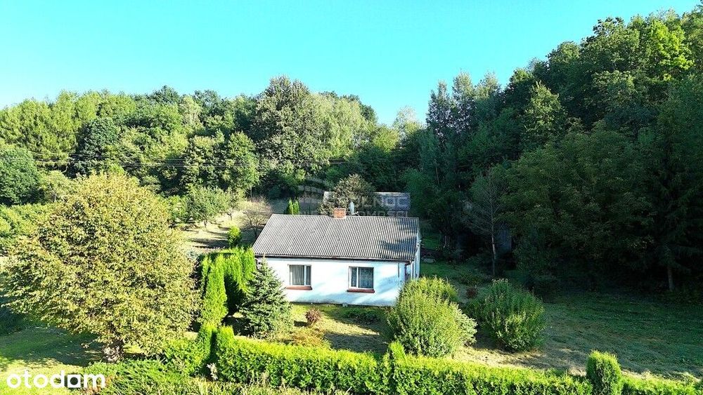 Siedlisko przy lesie w Skomorochach Dużych