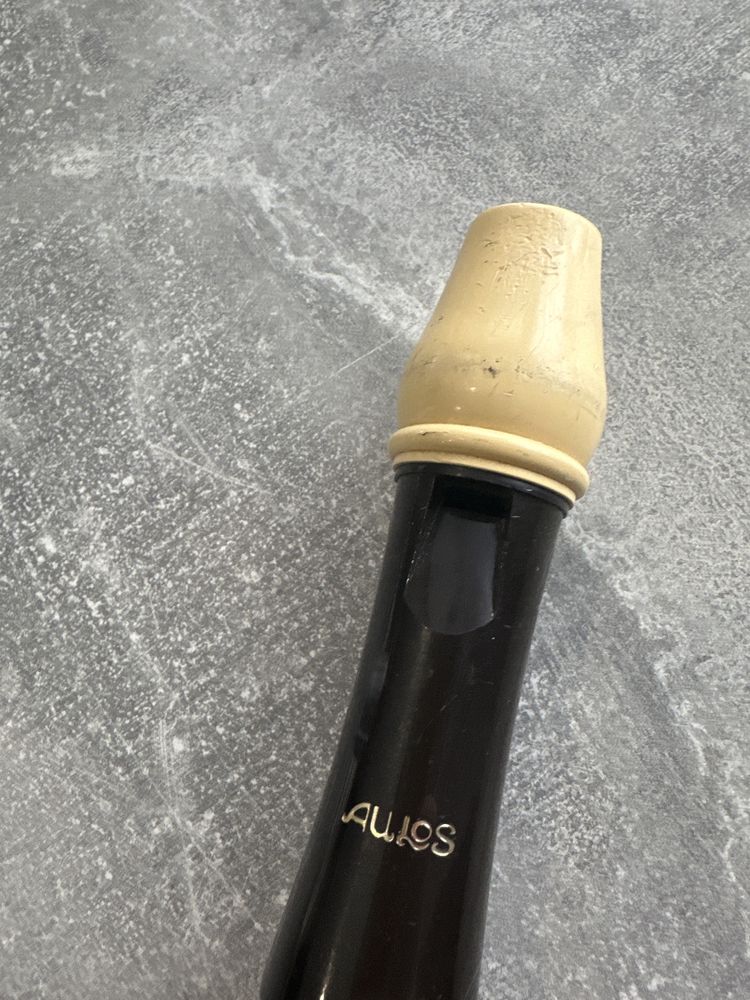 Flet prosty Aulos