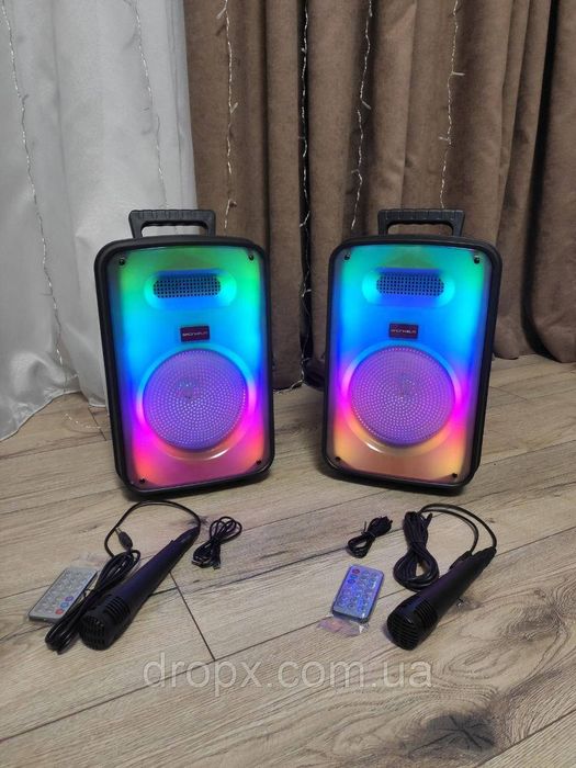 Стерео акустика GW-818BM з двух колонок з функцією TWS/караоке