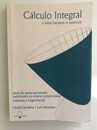 Livro: Cálculo Integral - a várias variáveis: o essencial