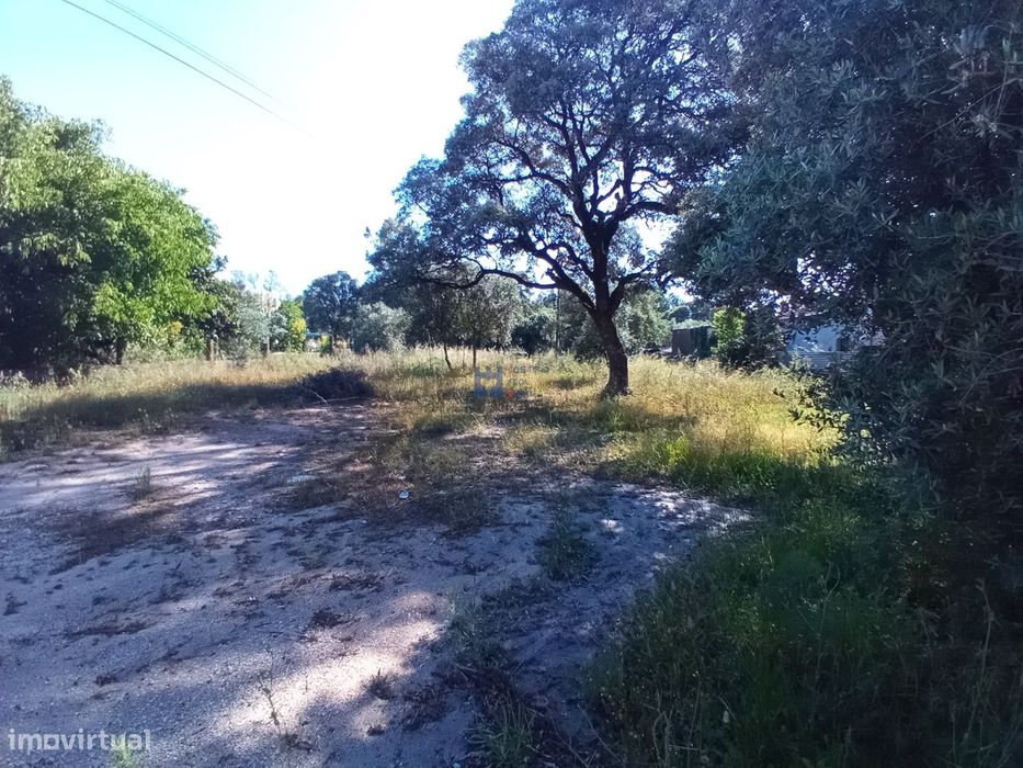 Terreno para construção em Fátima no lugar de Valinho de Fátima