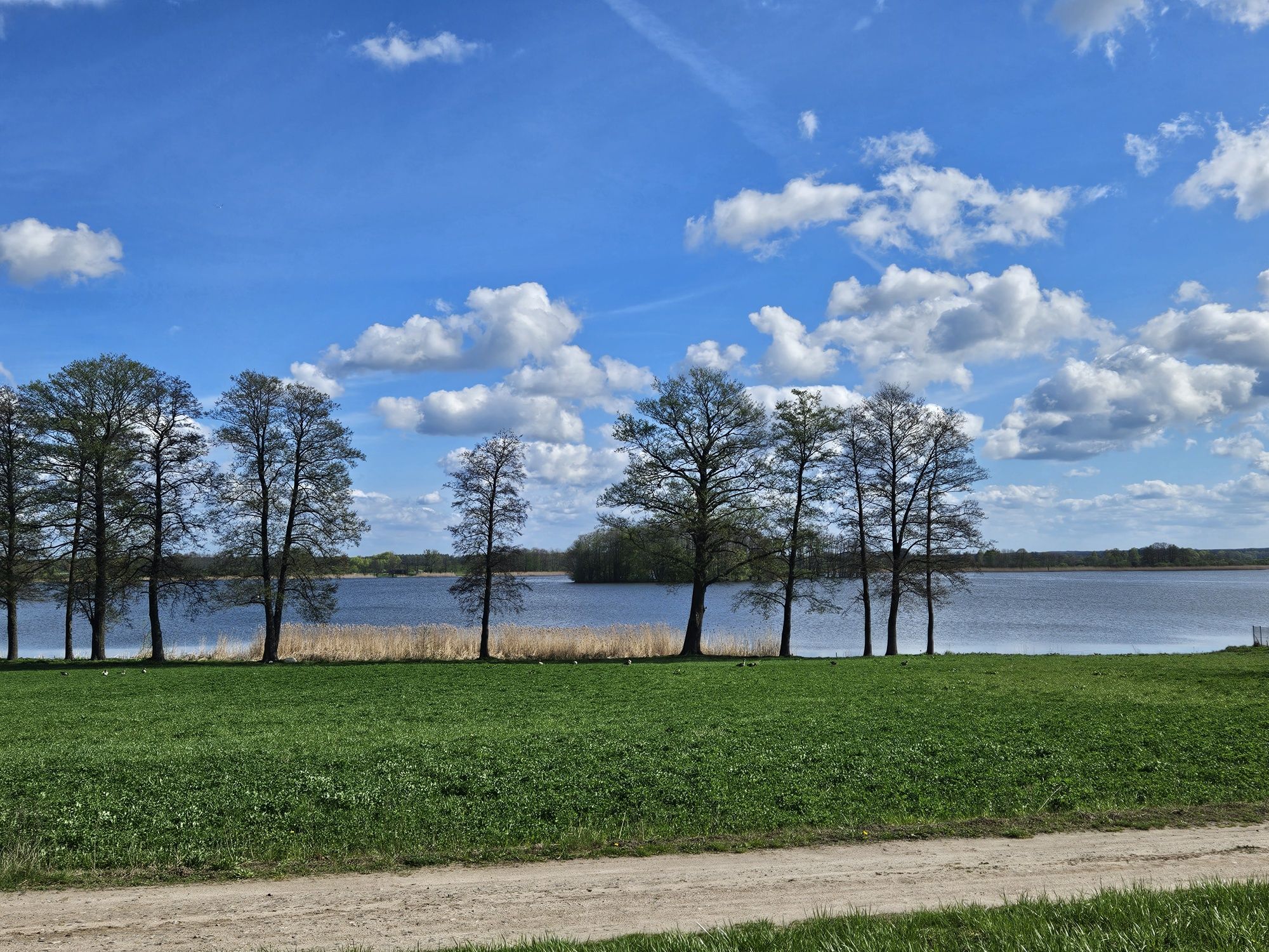 Urokliwa działka w Matytach, przy lesie (NA SPRZEDAŻ)