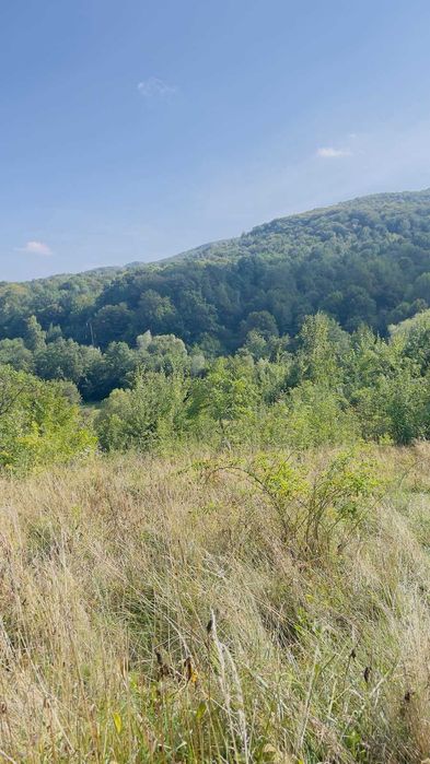 Продаж земельної ділянки в Карпатах, Косівщина