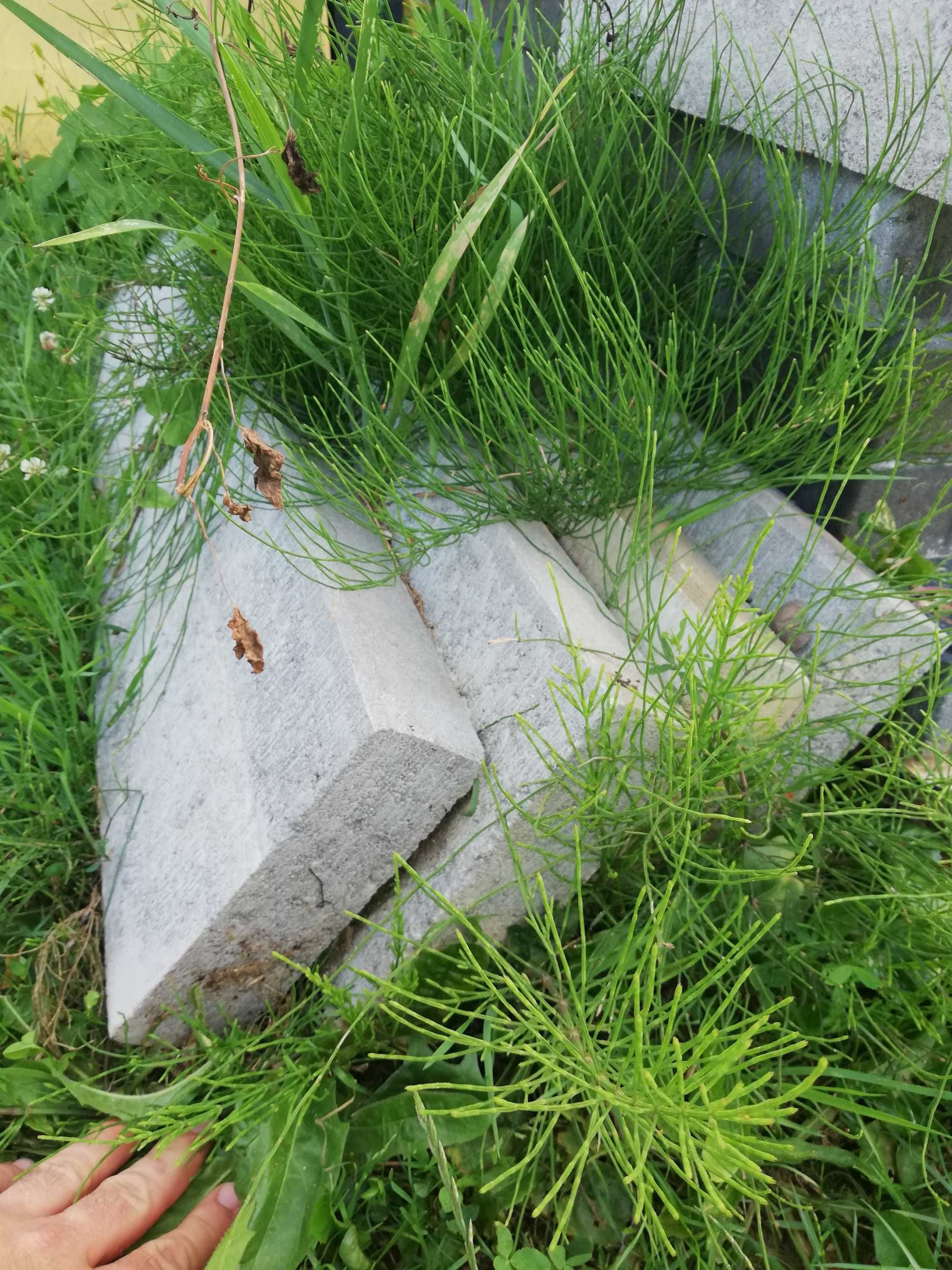 Krawężniki, krawężnik najazdowy, blok schodowy (szare)