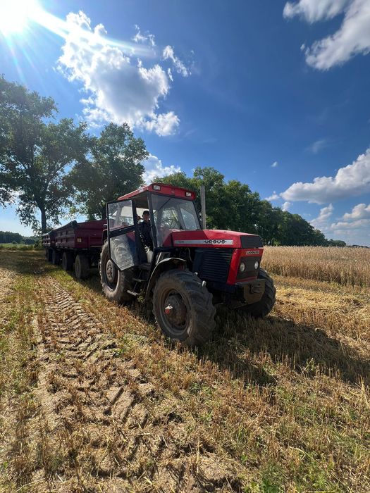 Ursus 1014 DeLuxWitam na sprzedaż