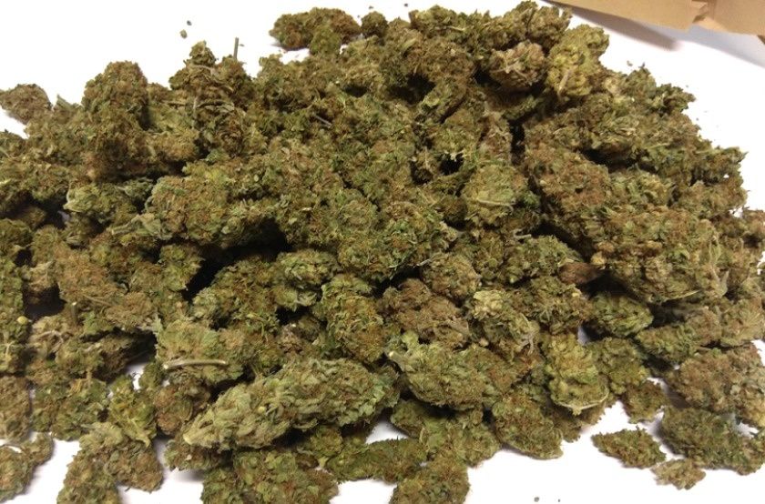 5g Island Sweet Skunk Susz Roślinny cbt cbl cbc Lot w kosmos! Działa