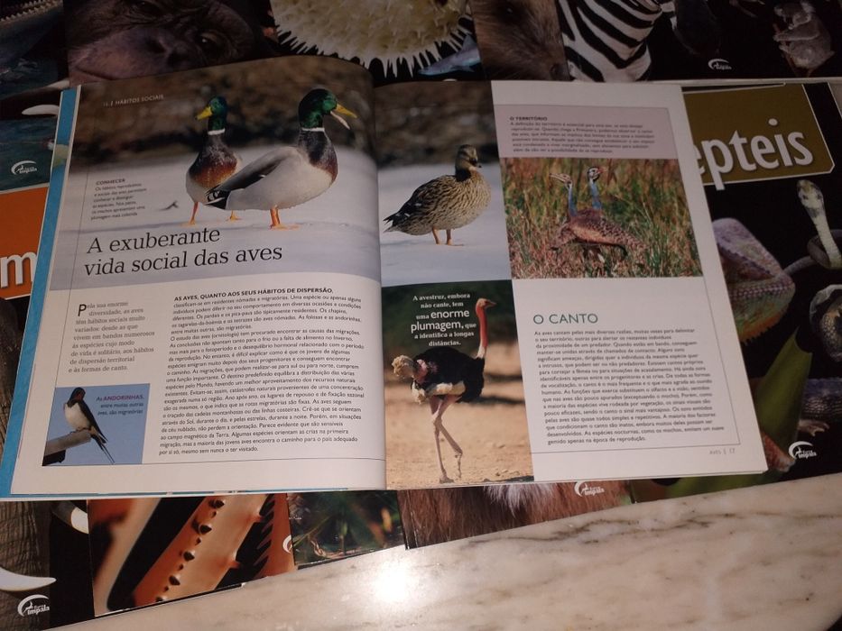 Livros sobre animais