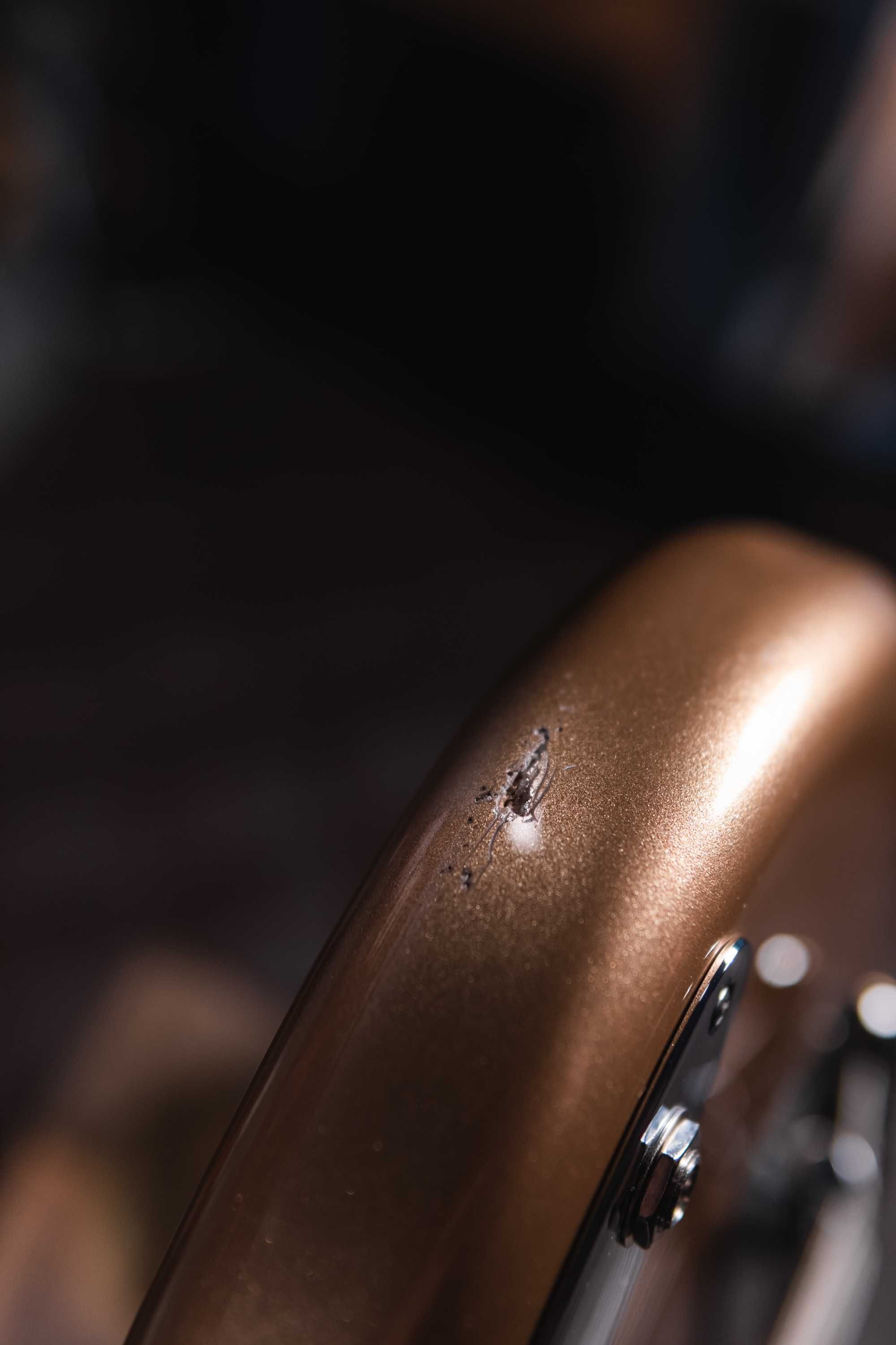 Fender Mustang Bass Firemist Gold (Player MiM)